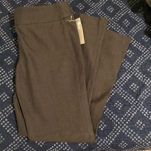 Ann Taylor loft NWT Julie boot cut pants